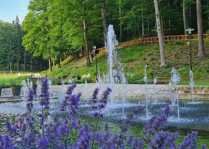 Czas Relaksu * Jedlina-Zdroj